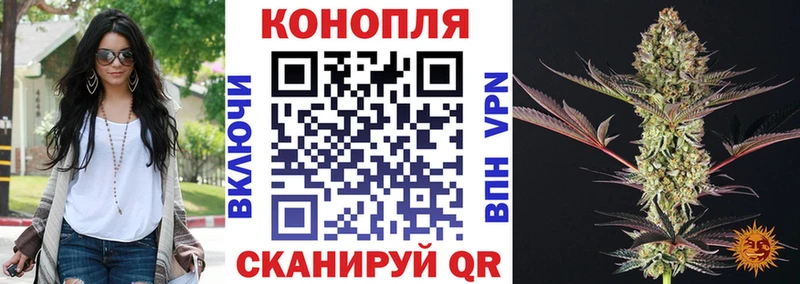 Бошки марихуана THC 21%  Тогучин 
